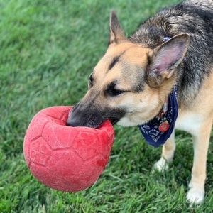 Meet your Posher, Tammie